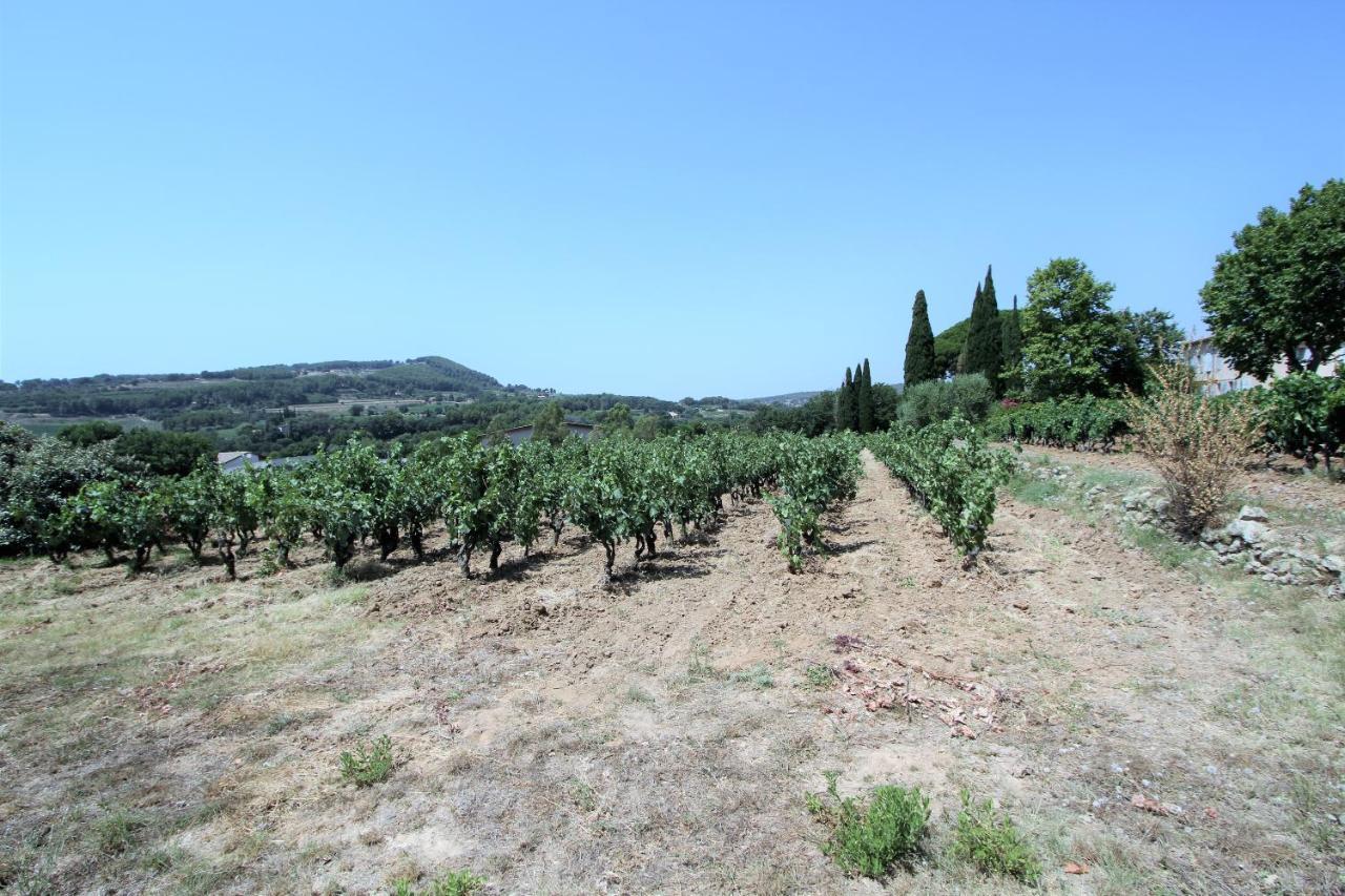 Вилла Bastide La Marraine Ле-Кастелле Экстерьер фото